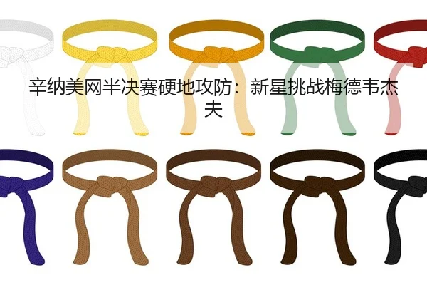 辛纳美网半决赛硬地攻防：新星挑战梅德韦杰夫